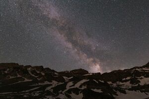 اگه این گیاه و تو خونت داشته باشی پوله که از سر و کولت بالا میره | نگهداری این گیاه در خانه باعث جذب ثروت می شود