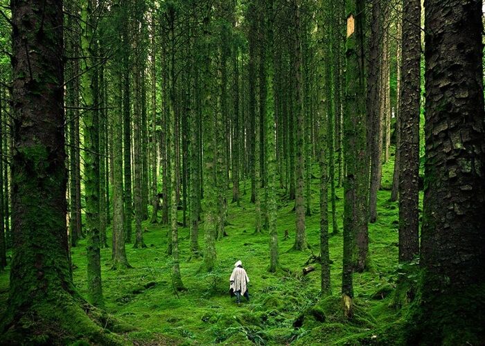  بهترین رنگ لاک برای روشن نشان دادن پوست دست گندمی و سبزه